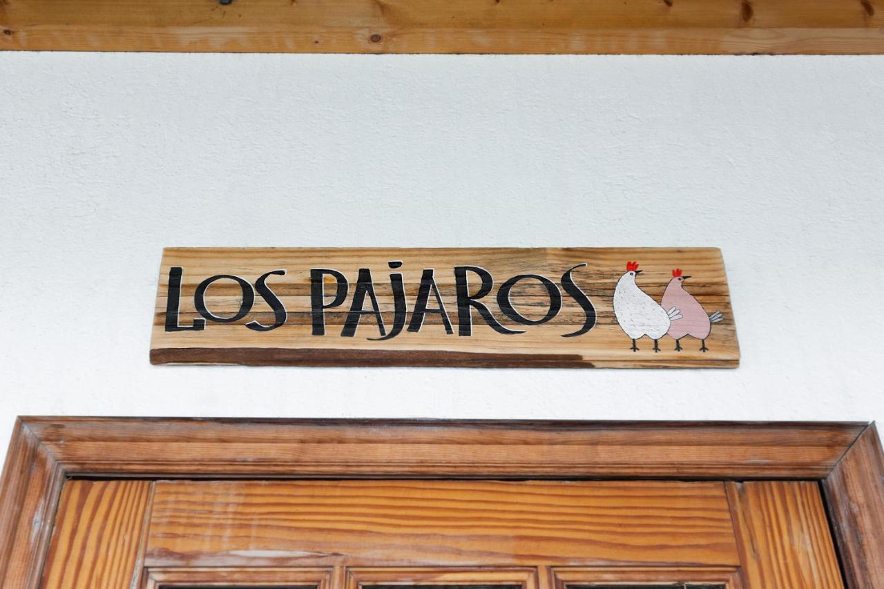 Los Pajaros Санта-Крус-де-Тенерифе Экстерьер фото